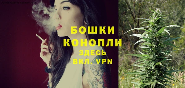 PSILOCYBIN Каменск-Шахтинский