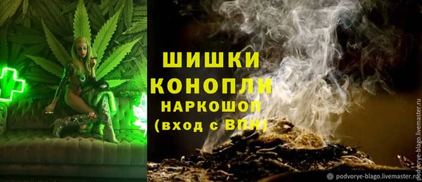 PSILOCYBIN Каменск-Шахтинский