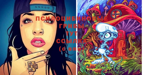 PSILOCYBIN Каменск-Шахтинский