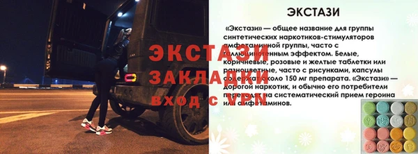 ешки Инта