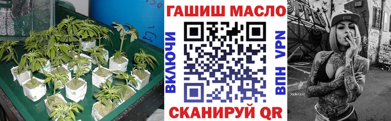 ТГК концентрат  Купить где  Будённовск 