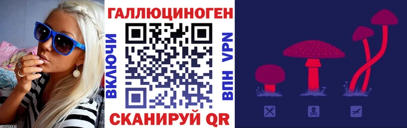 Псилоцибиновые грибы MAGIC MUSHROOMS  Купить где  Будённовск 