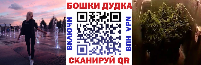 Шишки марихуана марихуана  Купить  Будённовск 